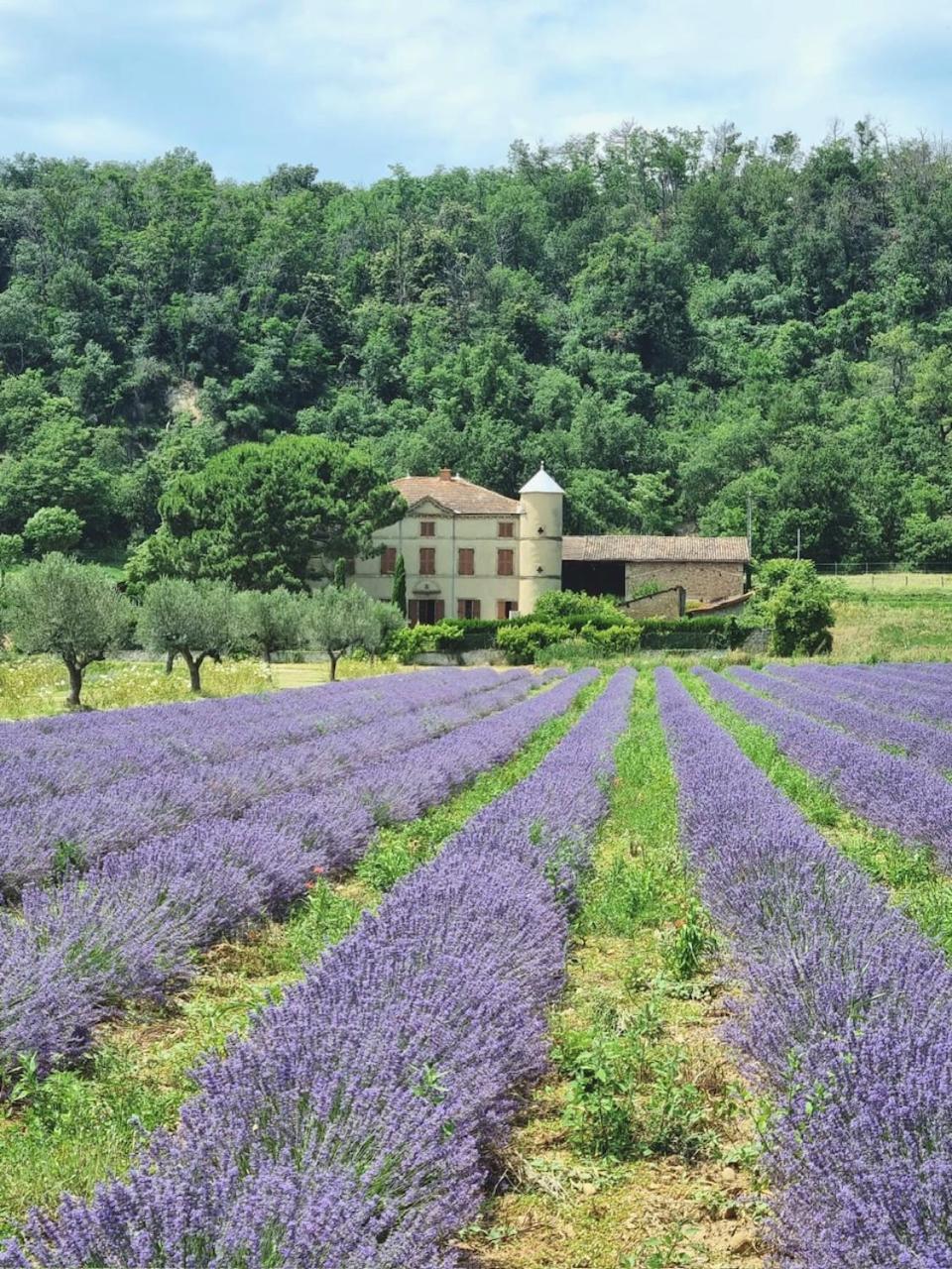 Villa Domaine Des Balmes Romans-sur-Isère Exterior foto